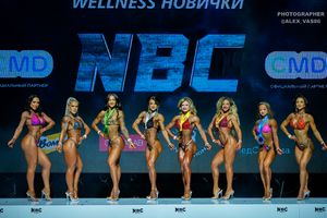 WELLNESS НОВИЧКИ